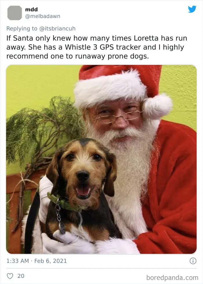 Frustrated Owners Share Stories About How Hard It Is To Catch A Dog Once It Runs Away (30 Pics)