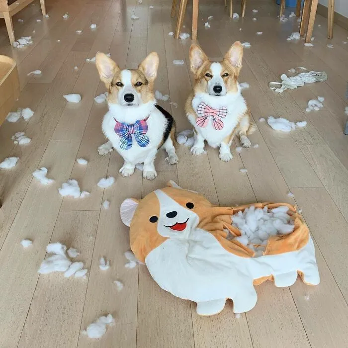 We Don’t Need Any Fake Frens