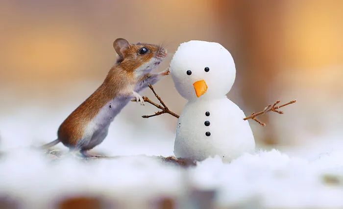 Award-Winning Photographer's Work Shows What Happens In Nature When The Animals Are Alone And At Peace (30 New Pics)