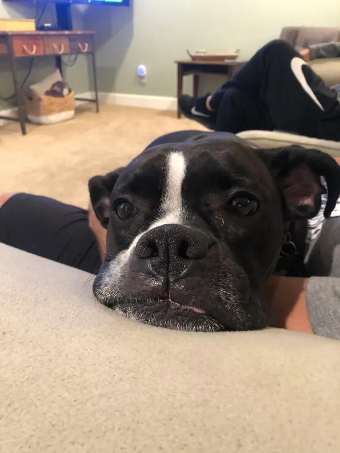 Wake Me Up When It’s Saturday