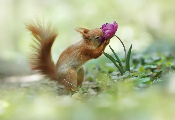 Award-Winning Photographer's Work Shows What Happens In Nature When The Animals Are Alone And At Peace (30 New Pics)