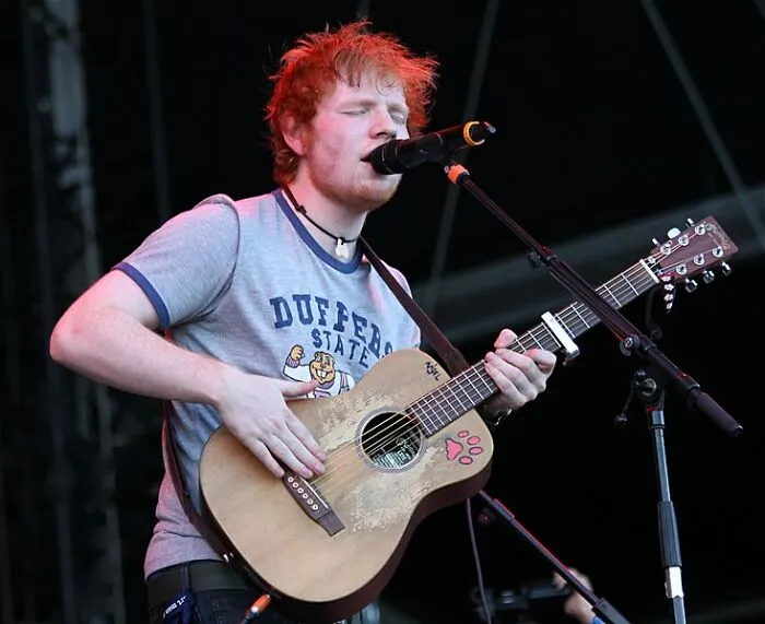 Musician performing live on stage with acoustic guitar, illustrating interesting facts people didn’t learn at school.