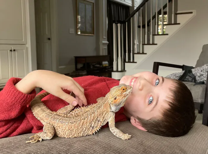 Beardie Buddy