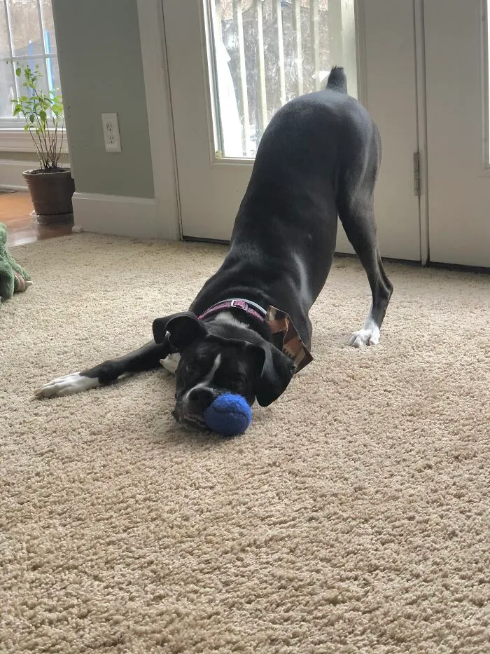 Butt In The Air, Like You Just Don’t Care!!!