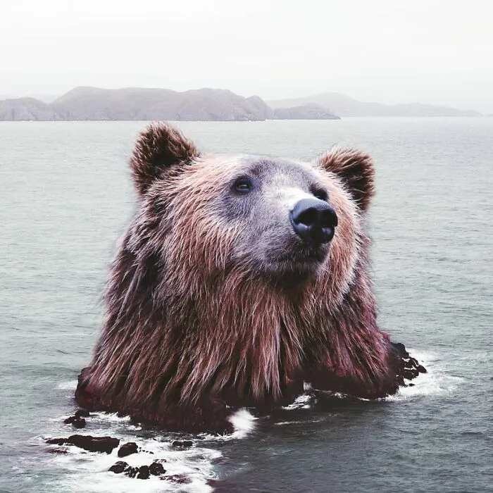 131 Surreal Photo Manipulations That Challenge Logic By Hansruedi Ramsauer