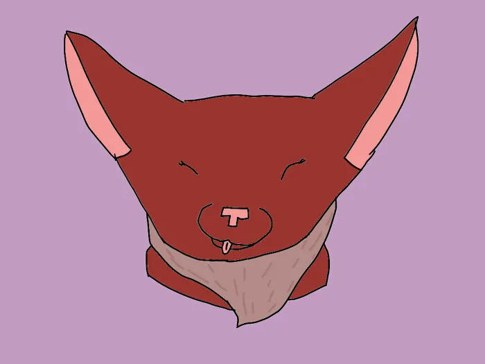 My Oc Kitkat, Or, Warrior Cat Name, Pinepaw ( Still Apprentice)