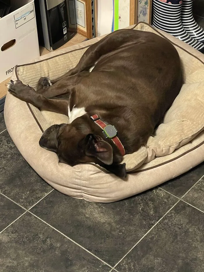Max's Favorite Spot.