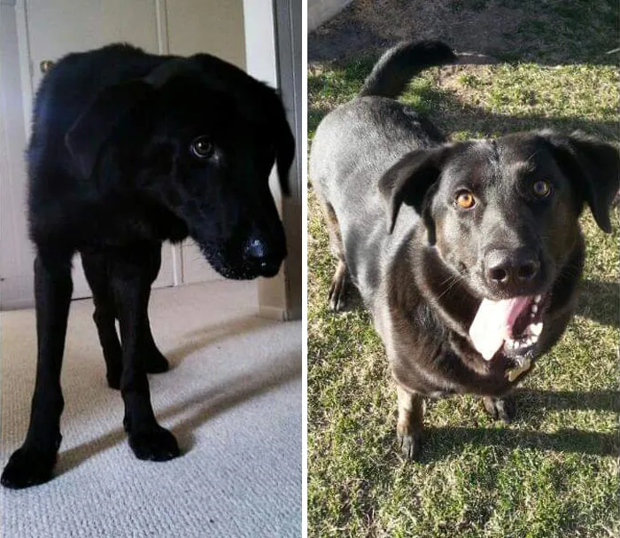 Underweight And Defeated To Rock Solid Happiness!