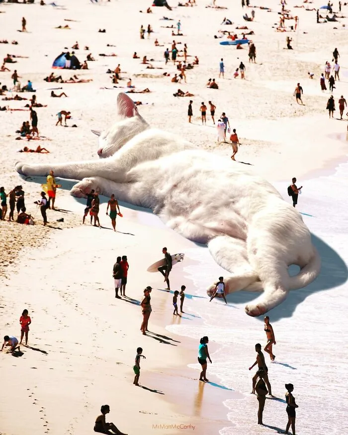 This Artist Uses Photoshop To Create Surreal Giant Cat Landscapes, Here Are His Best 30 Edits