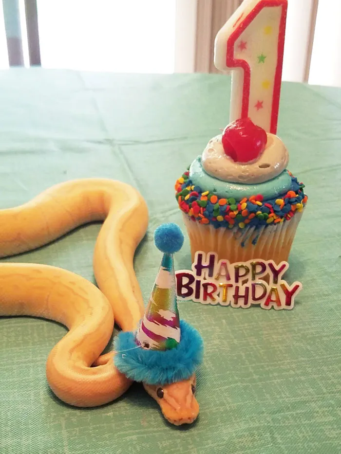  "Happy Birthday!"