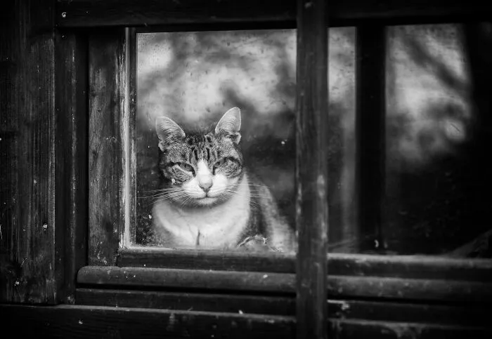 Just Another Chilly Winter Day