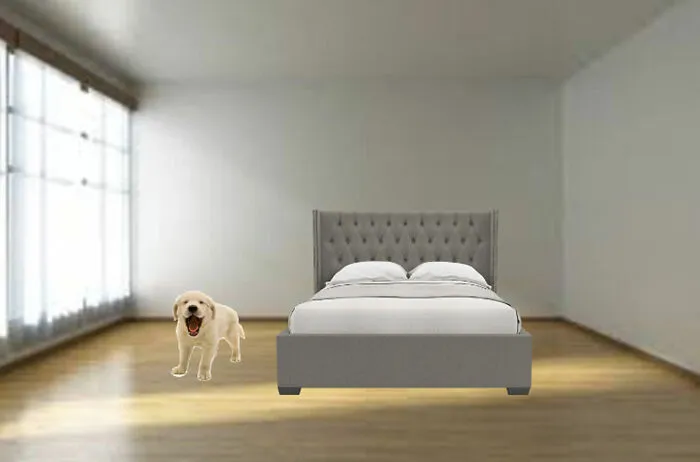 Ok