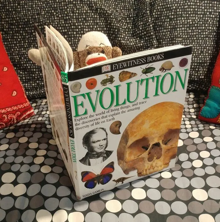 I’ve Made My Wife Laugh Every Day Of The Pandemic With Daily Sock Monkey Shows And I Hope They Make You Smile Too (65 Pics)
