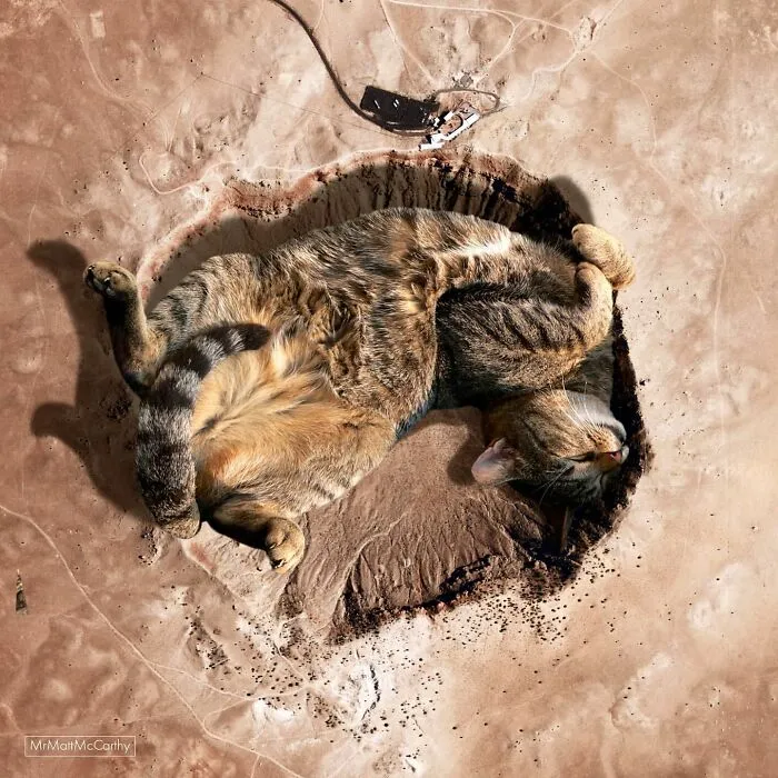 This Artist Uses Photoshop To Create Surreal Giant Cat Landscapes, Here Are His Best 30 Edits