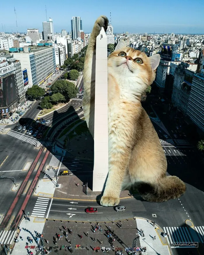 This Artist Uses Photoshop To Create Surreal Giant Cat Landscapes, Here Are His Best 30 Edits