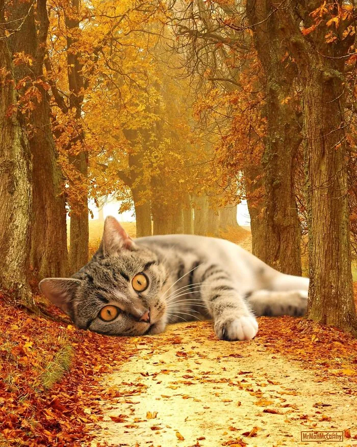 This Artist Uses Photoshop To Create Surreal Giant Cat Landscapes, Here Are His Best 30 Edits