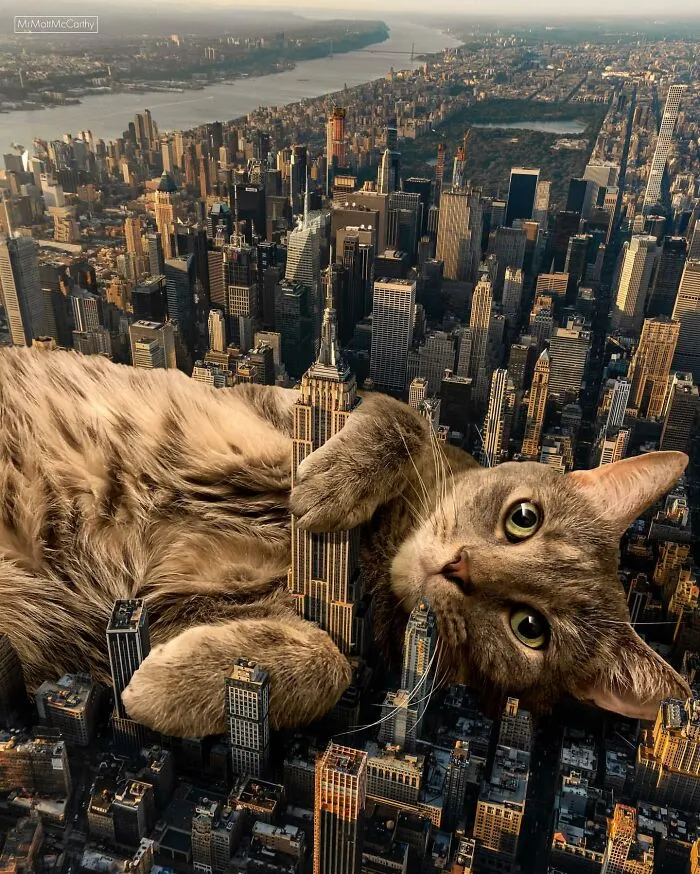 This Artist Uses Photoshop To Create Surreal Giant Cat Landscapes, Here Are His Best 30 Edits