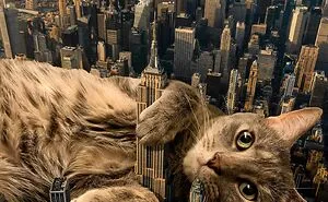 This Artist Uses Photoshop To Create Surreal Giant Cat Landscapes, Here Are His Best 30 Edits