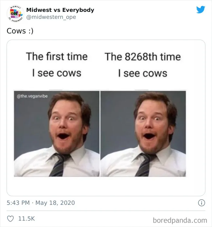 The Midwest Is A Whole Different Place, And This Account Sums It Up Perfectly (50 Pics)