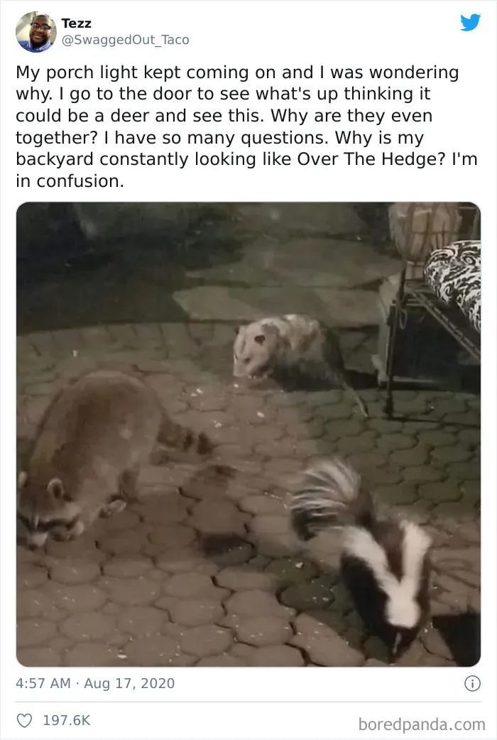 I'm In Confusion