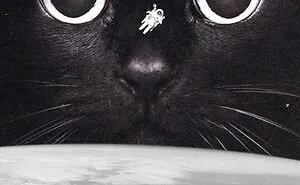This Artist Uses Photoshop To Create Surreal Giant Cat Landscapes, Here Are His Best 30 Edits