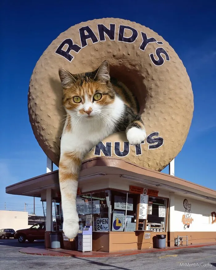 This Artist Uses Photoshop To Create Surreal Giant Cat Landscapes, Here Are His Best 30 Edits