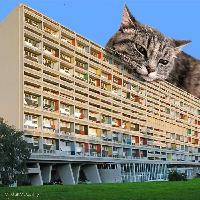 This Artist Uses Photoshop To Create Surreal Giant Cat Landscapes, Here Are His Best 30 Edits