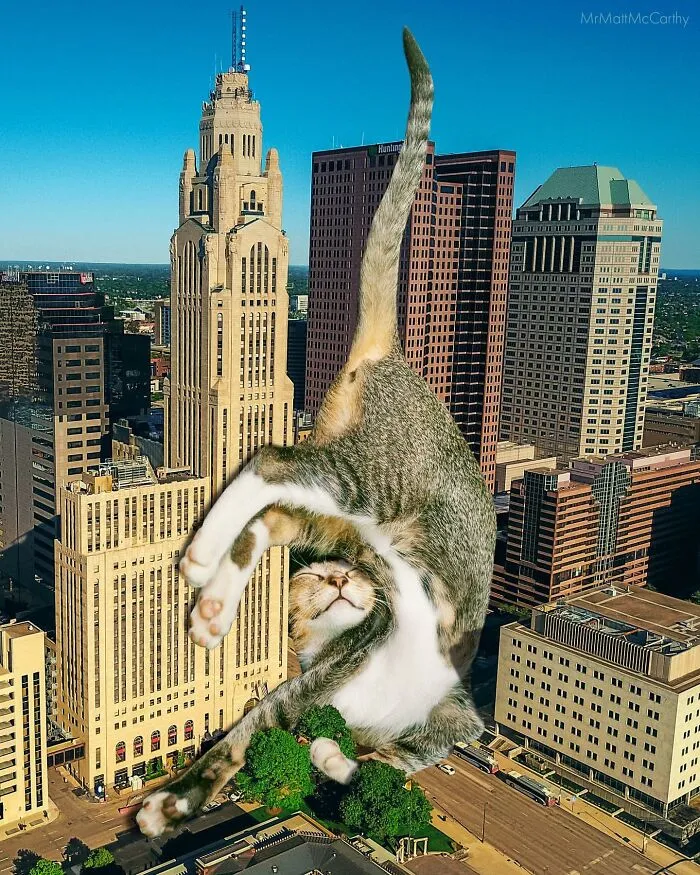 This Artist Uses Photoshop To Create Surreal Giant Cat Landscapes, Here Are His Best 30 Edits