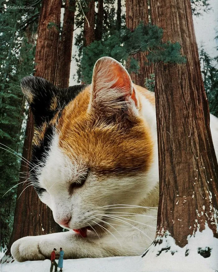 This Artist Uses Photoshop To Create Surreal Giant Cat Landscapes, Here Are His Best 30 Edits
