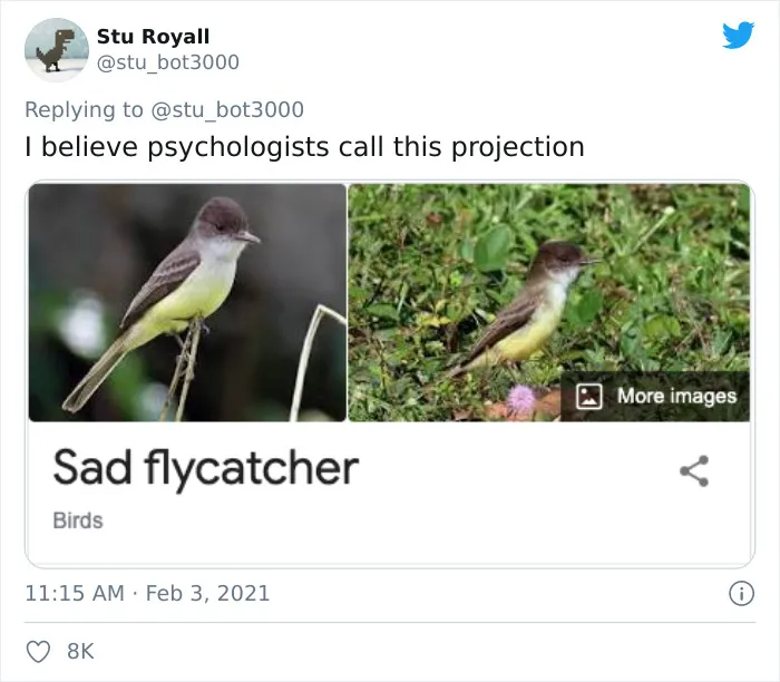 Sad Flycatcher