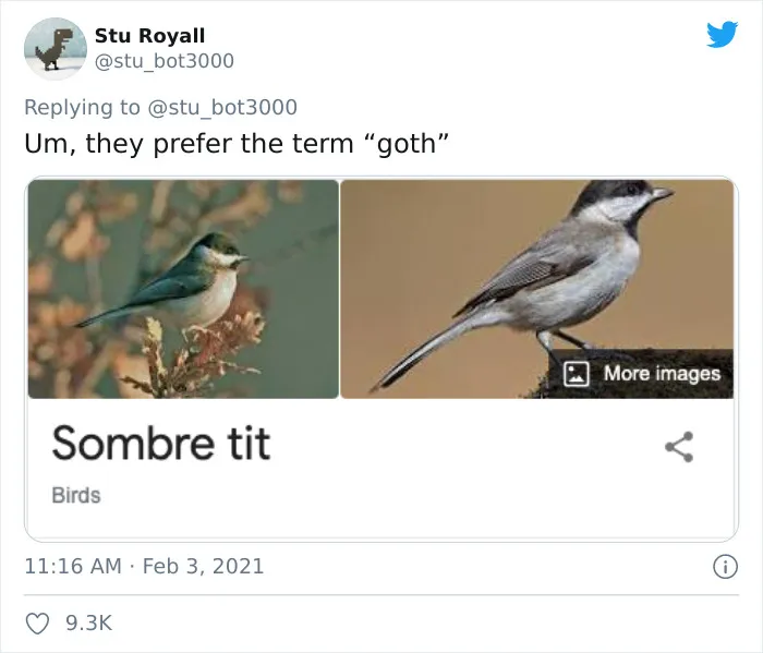 Sombre Tit