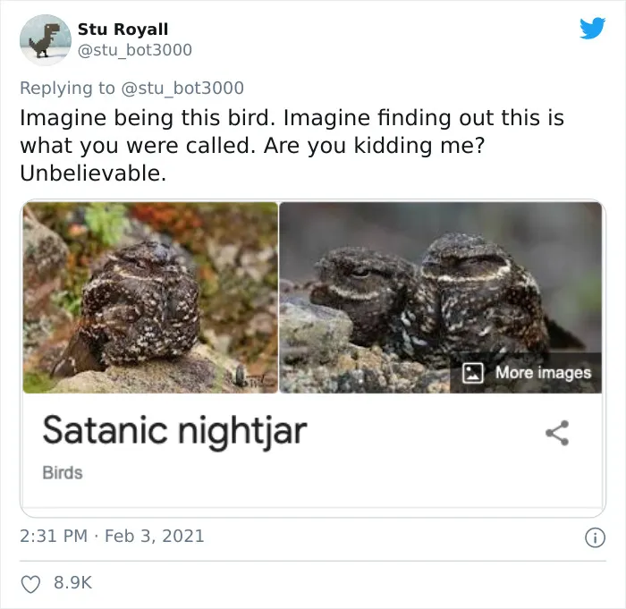 Satanic Nightjar