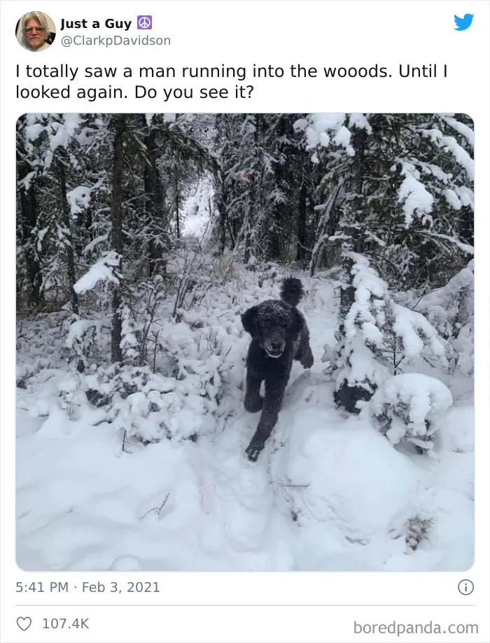 Is It A Man Running Or?