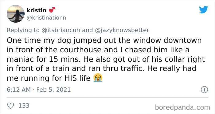 Frustrated Owners Share Stories About How Hard It Is To Catch A Dog Once It Runs Away (30 Pics)