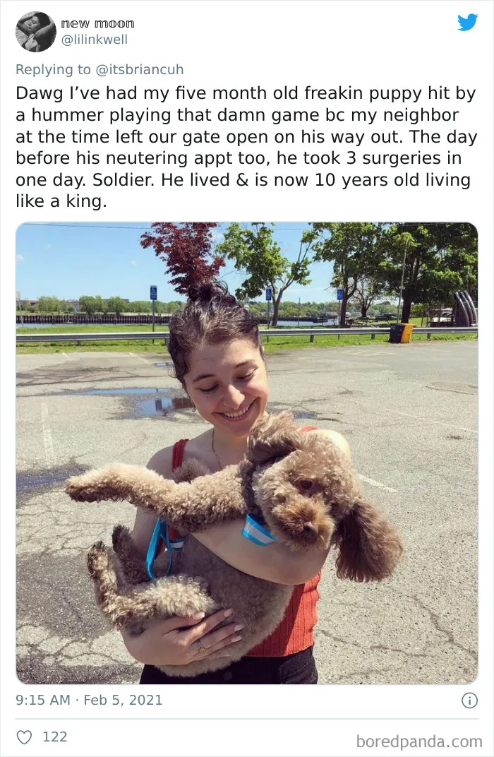 Frustrated Owners Share Stories About How Hard It Is To Catch A Dog Once It Runs Away (30 Pics)
