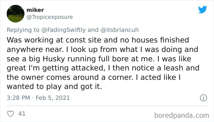 Frustrated Owners Share Stories About How Hard It Is To Catch A Dog Once It Runs Away (30 Pics)