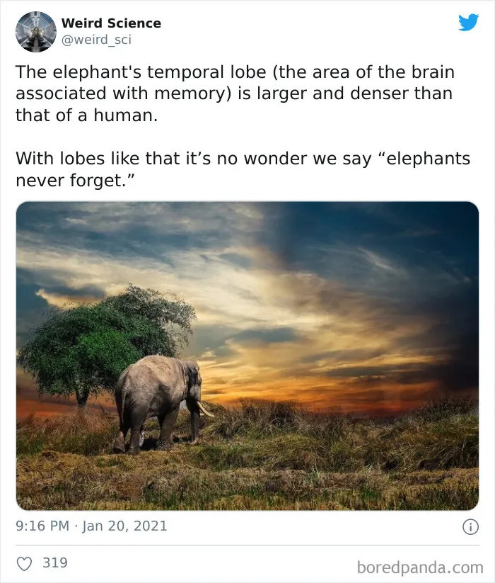 ‘Weird History’ Is An Account That Shares Interesting, Odd, And Funny Things That Happened And Here's 50 Of Their Best Posts