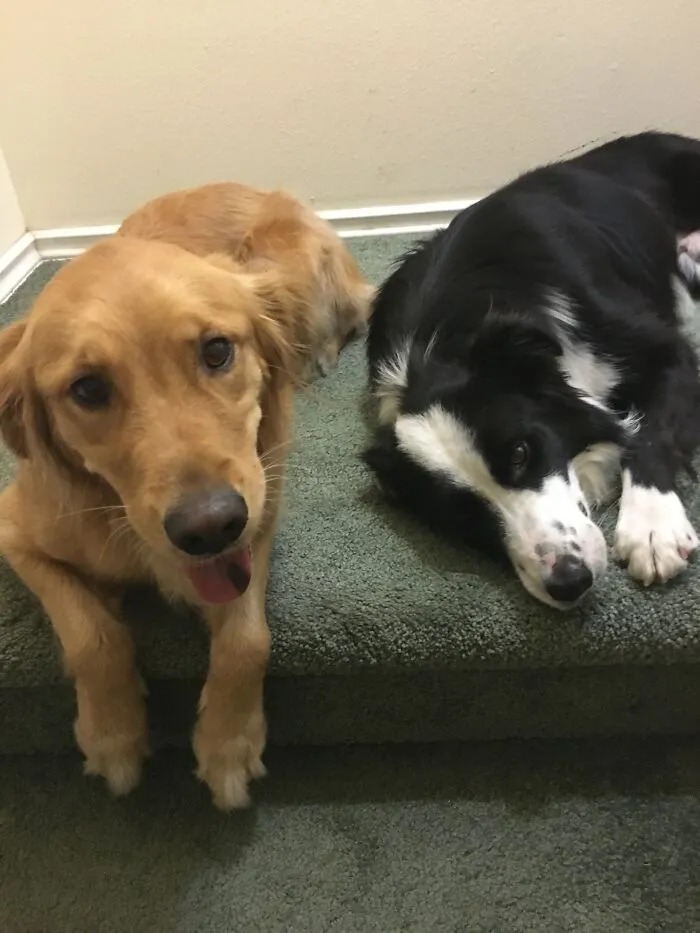 Two Cuties