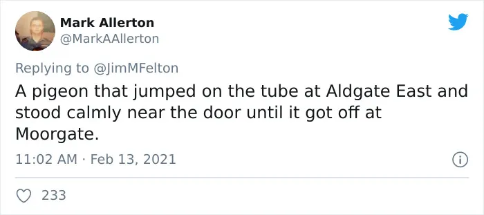 People Are Sharing The Most Bizarre Things They've Seen On Public Transport (45 Tweets)
