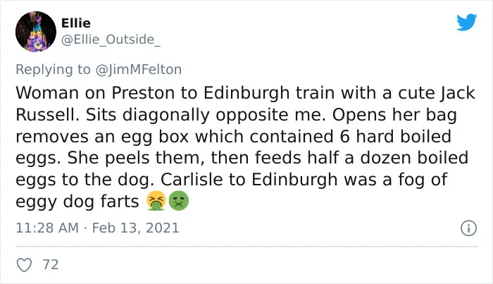 People Are Sharing The Most Bizarre Things They've Seen On Public Transport (45 Tweets)