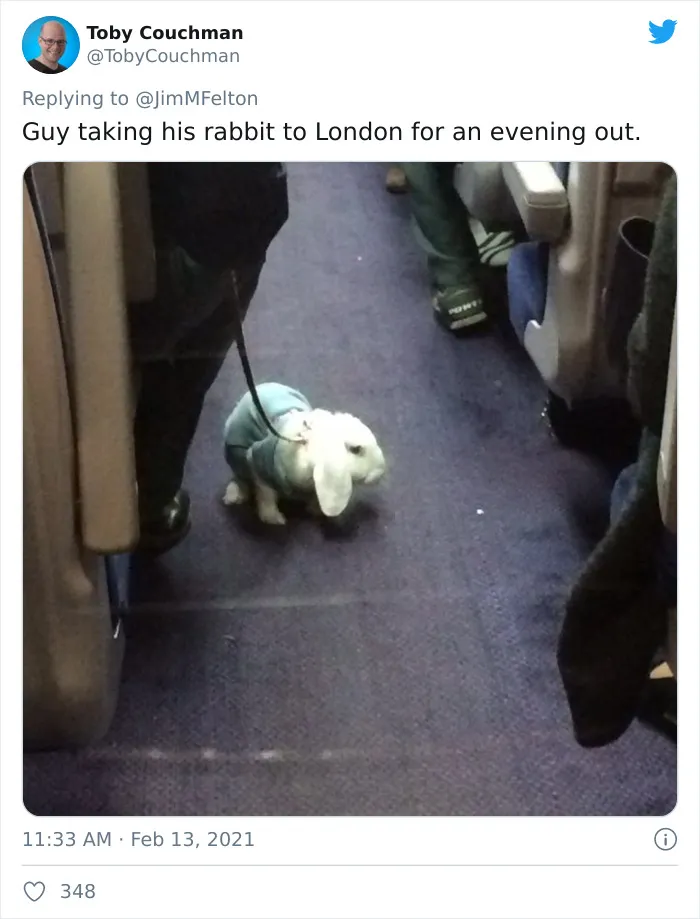 People Are Sharing The Most Bizarre Things They've Seen On Public Transport (45 Tweets)