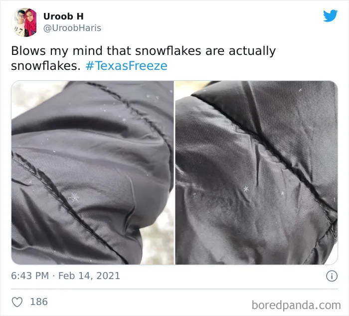 Alucino de que los copos de nieve sean en realidad copos de nieve