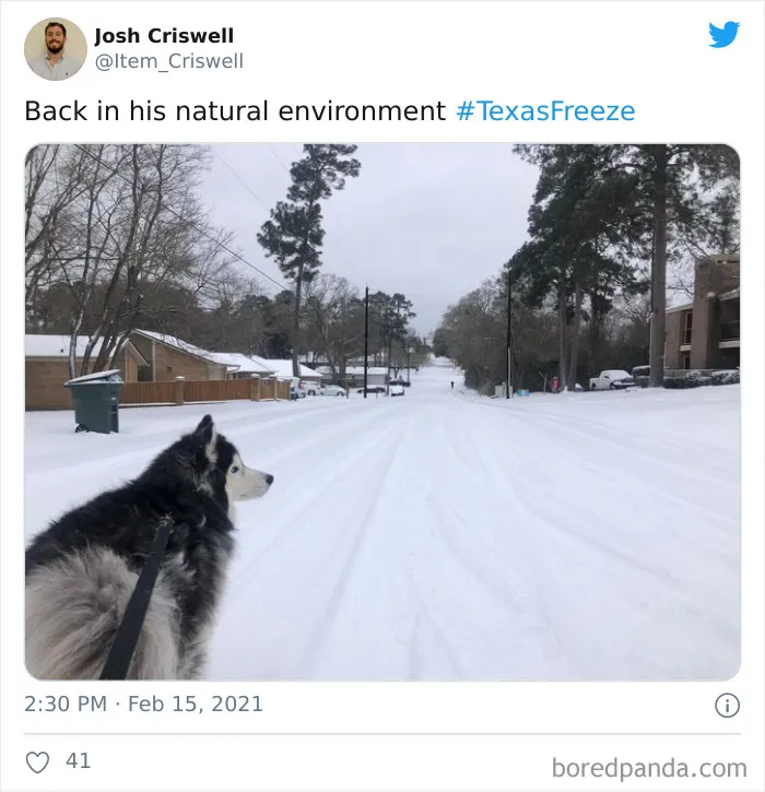 Texas Winter Storm