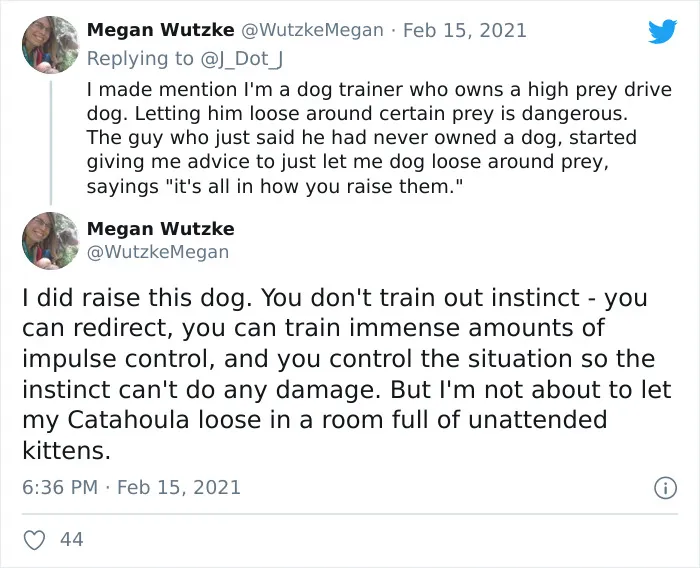 35 Women Share The Most Stupid Things That Have Ever Been Mansplained To Them