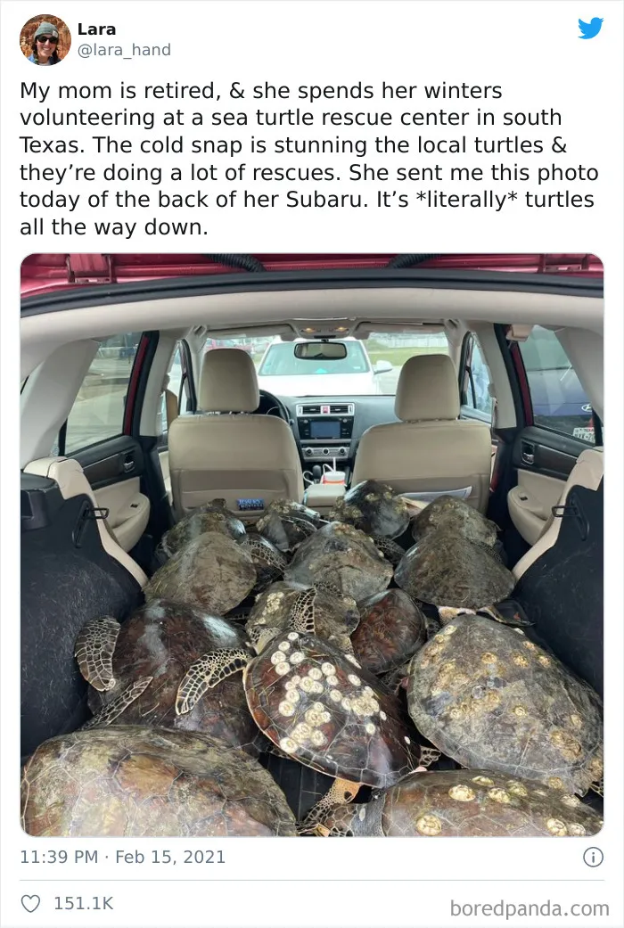 Texans Are Bringing Farm And Wild Animals Inside To Keep Them Warm During The Cold Wave (19 Pics)