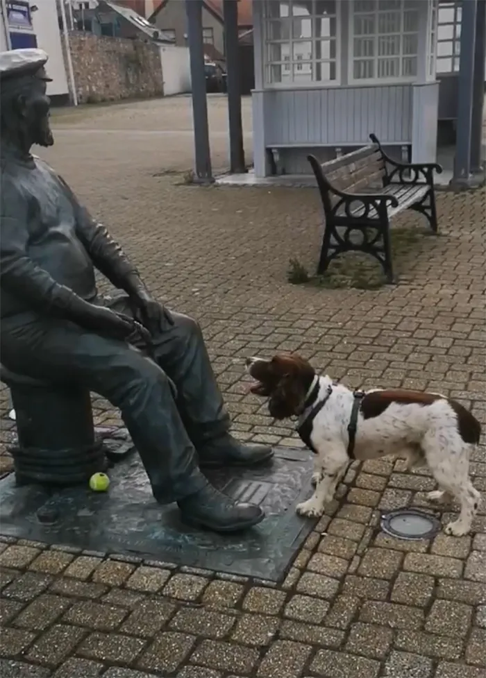 He Has Been Known To Accost People For Ages If He Thinks They Will Throw A Ball Or Stick For Him