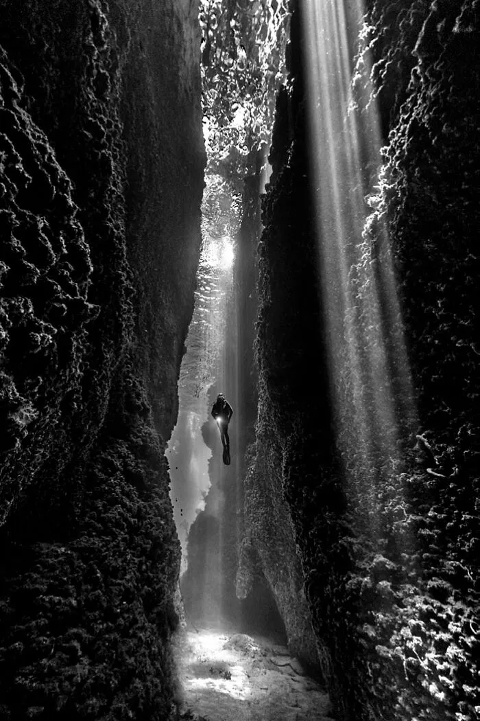 ‘The Cut’ By Diana Fernie (Australia), 1st Place In 'Black & White'