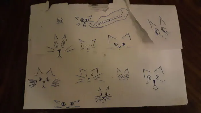 My 3 Cats---In A Variety Of Moods :)