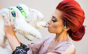19 Adorable Dogs That Made It To The Finals On World's Best Wedding Photos