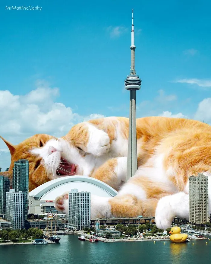 This Artist Uses Photoshop To Create Surreal Giant Cat Landscapes, Here Are His Best 30 Edits